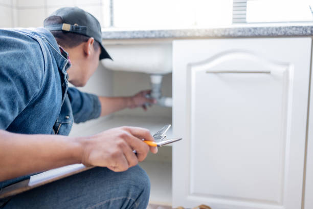 Best Plumbing Inspection Services  in Wallis, TX